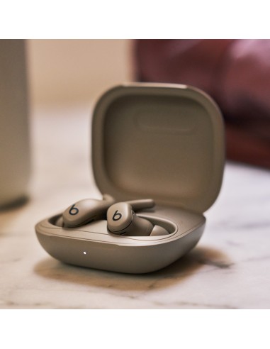 Beats Powerbeats Fit Auricolari In-Ear Wireless Gravel Grey - ME2K4ZM/A