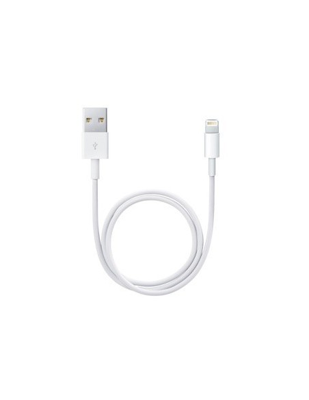 Apple Cavo da lightning a USB 0.5mt