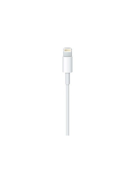 Apple Cavo da lightning a USB 0.5mt