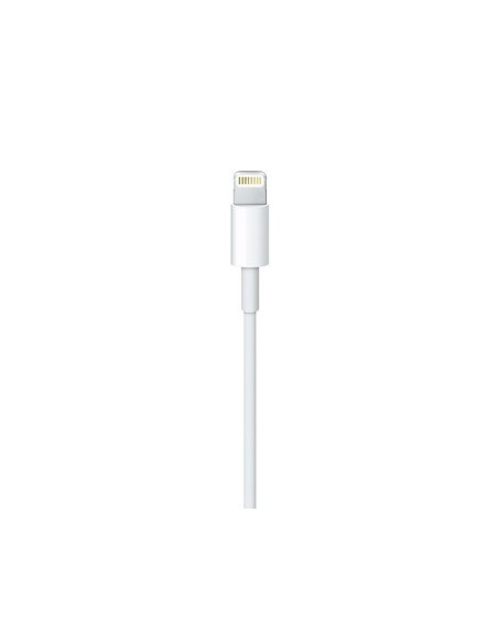 Apple Cavo da Lightning a USB-C (2 m)