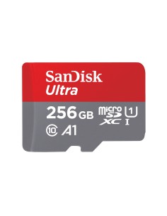 SanDisk Ultra microSDXC 256GB UHS-I Classe 10 A1 - Grey