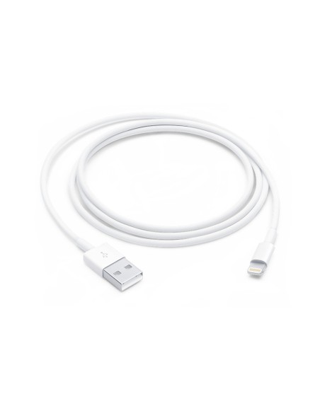 Apple Cavo da Lightning a USB (1 m)