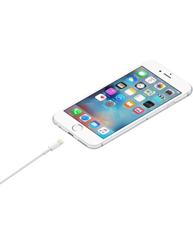 Apple Cavo da Lightning a USB (1 m)